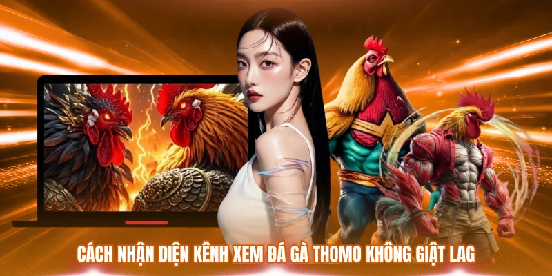 Kênh Xem Đá Gà Thomo Không Giật Lag - Chuẩn HD Trọn Vẹn 1 Cách nhận diện kênh xem đá gà Thomo không giật lag