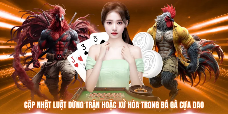 Đá Gà Cựa Dao - Mãn Nhãn Với Những Màn So Tài Đẳng Cấp 2 Cập nhật luật dừng trận hoặc xử hòa trong đá gà cựa dao